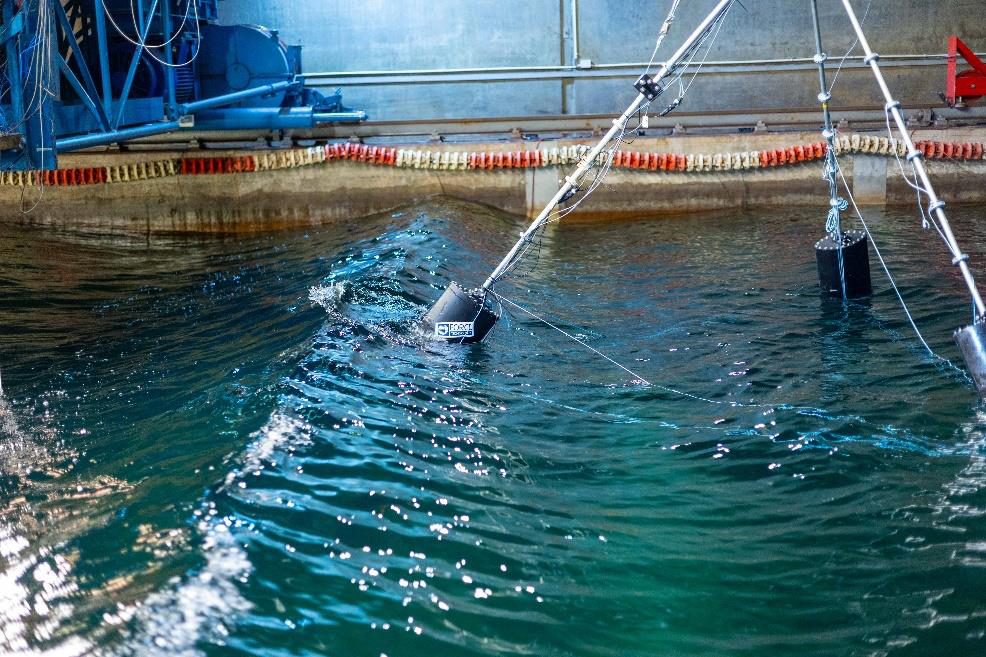 OptiFloat scale model undergoing wave-basin testing at FORCE Technology